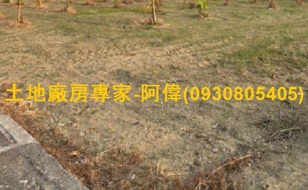 高雄大寮農地-1