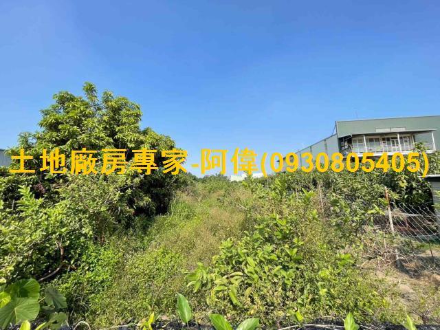 高雄大寮農地-1