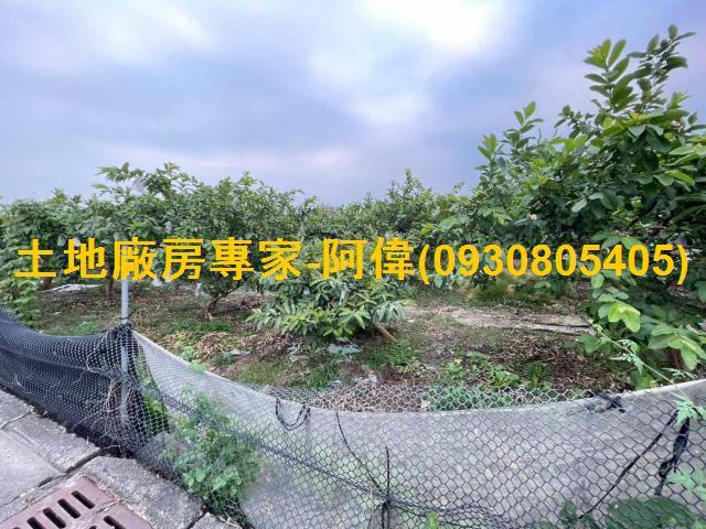 高雄大樹農地-1