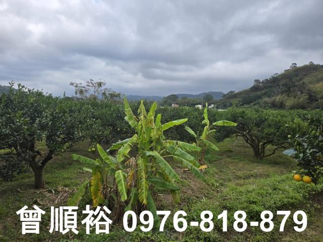 新竹峨眉農地-2