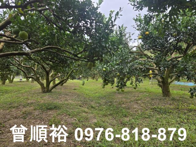 新竹峨眉農地-5