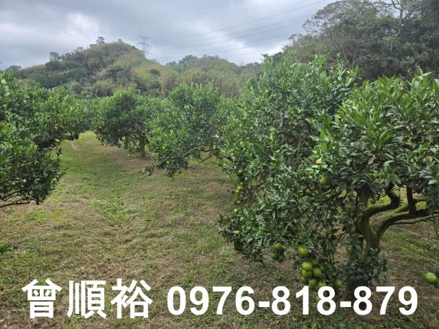 新竹峨眉農地-6