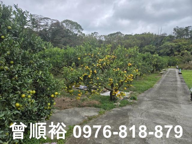 新竹峨眉農地-8