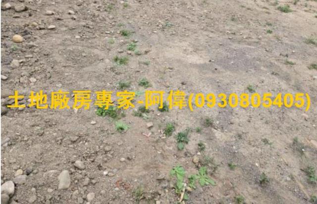 高雄大寮商業地-1