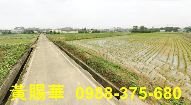 新屋農地-1