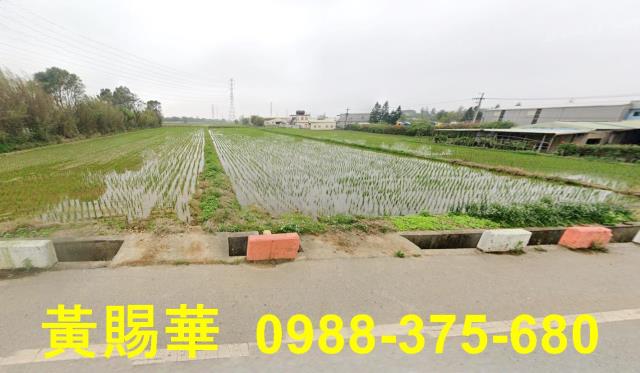新屋農地-4