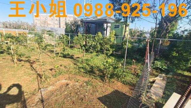 楊梅農地-7