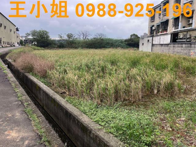 中壢農地-4