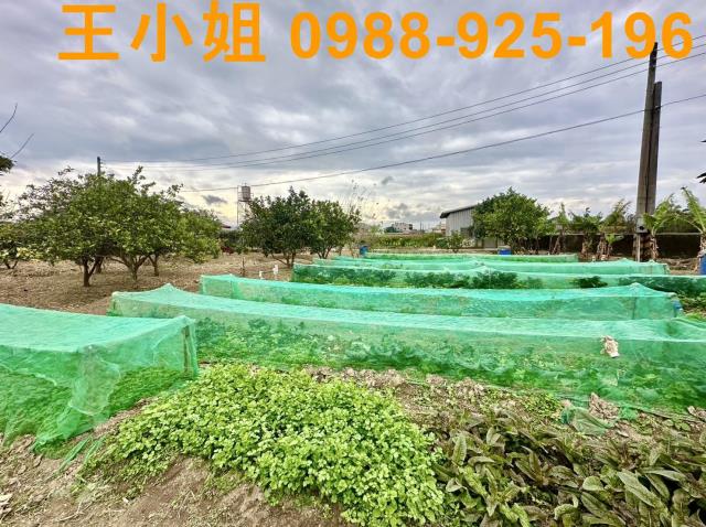 桃園農地-12