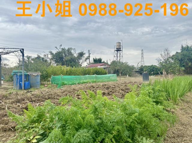 桃園農地-13