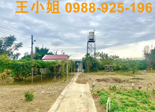 桃園農地-1