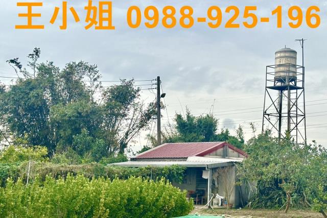桃園農地-4
