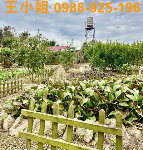 桃園農地-5