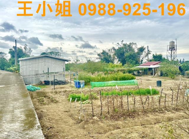 桃園農地-6