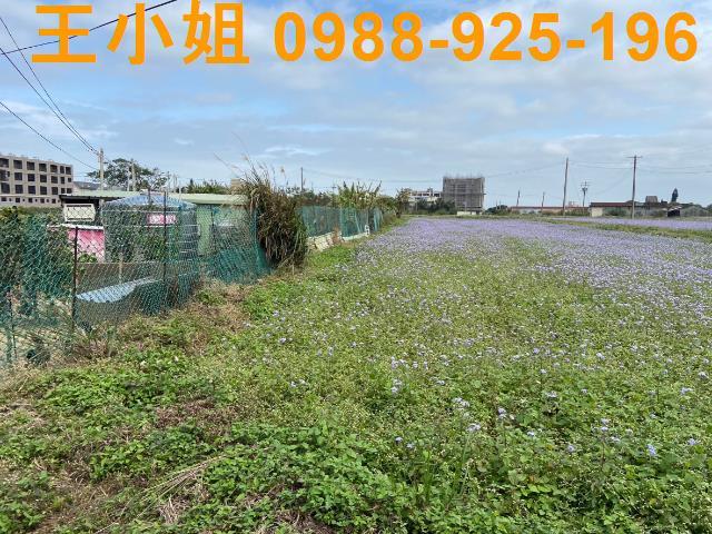 桃園中壢農地-10