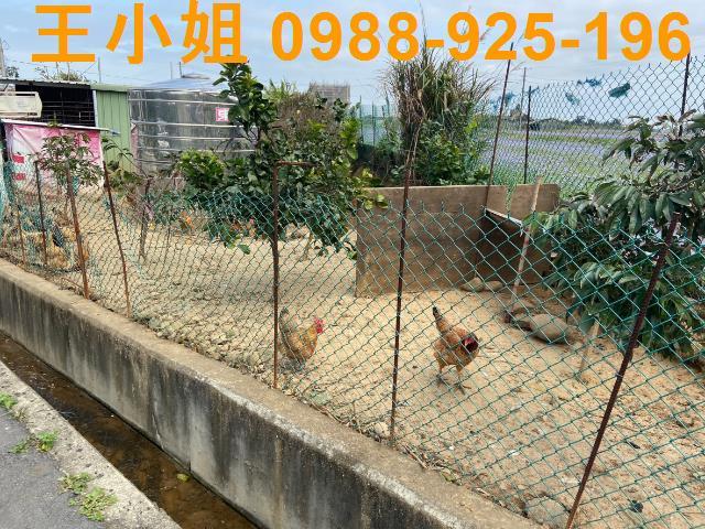 桃園中壢農地-7