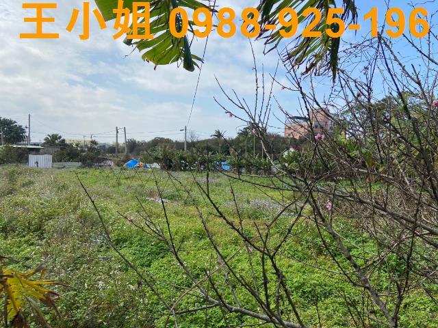 桃園中壢農地-8