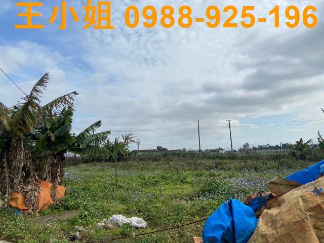桃園中壢農地-9