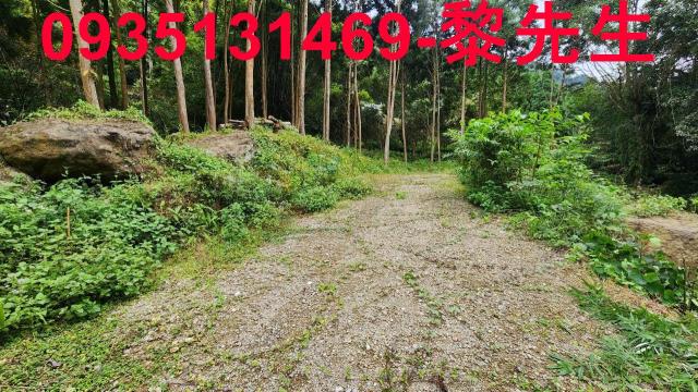 新竹北埔農地-1