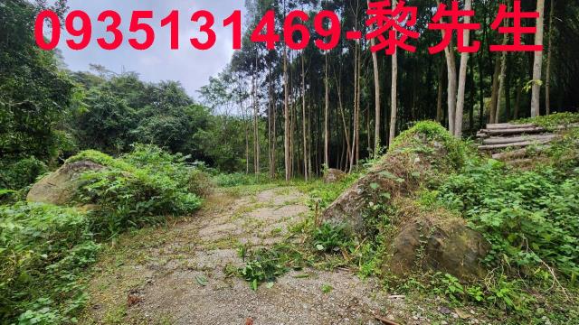 新竹北埔農地-11