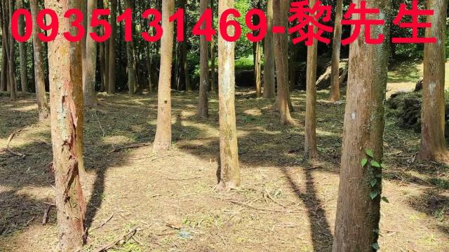 新竹北埔農地-2