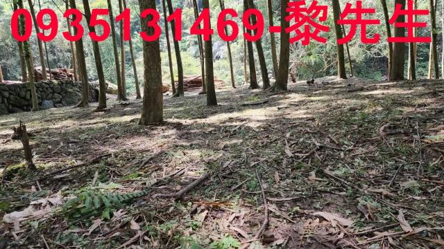 新竹北埔農地-4