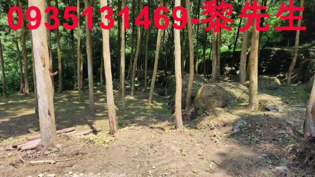 新竹北埔農地-5