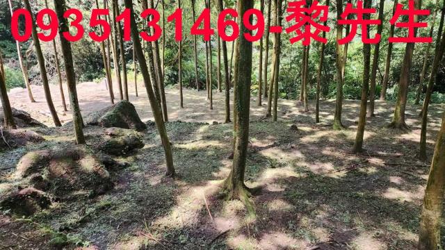 新竹北埔農地-6