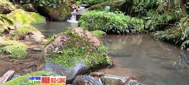 新竹北埔農地-13
