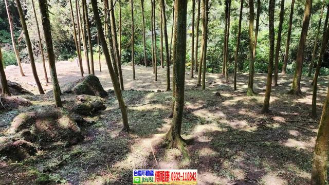 新竹北埔農地-4