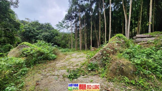 新竹北埔農地-5