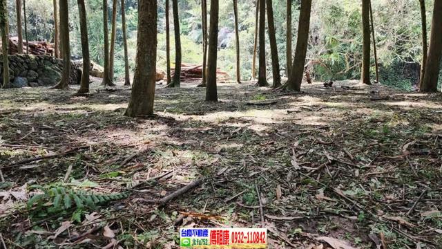 新竹北埔農地-7