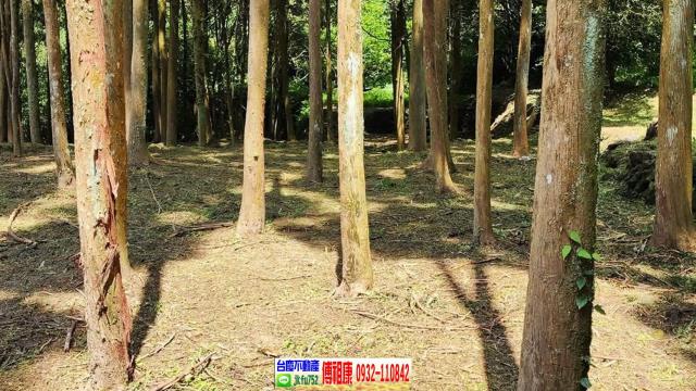 新竹北埔農地-8
