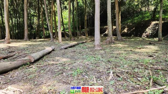 新竹北埔農地-9