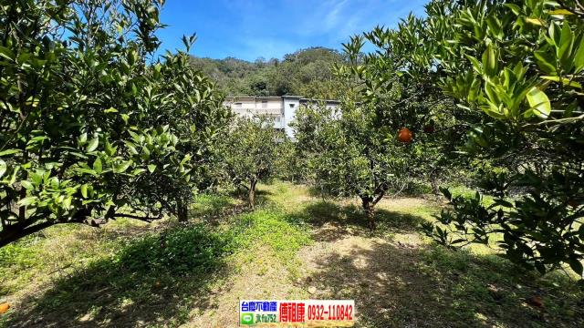 新竹芎林農地-13