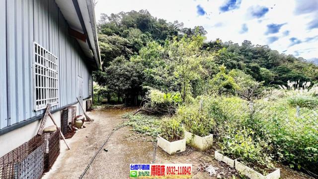 新竹芎林農地-3