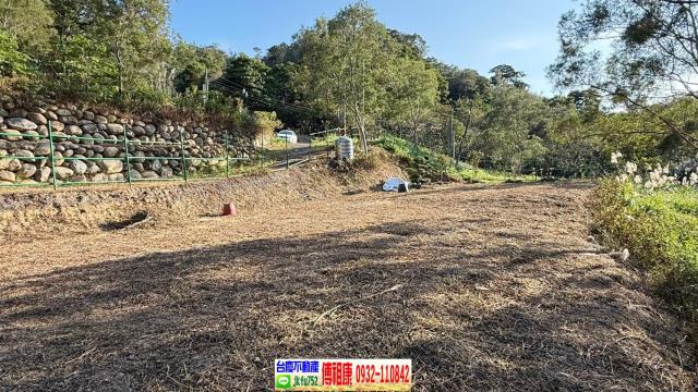 新竹竹東農地-8