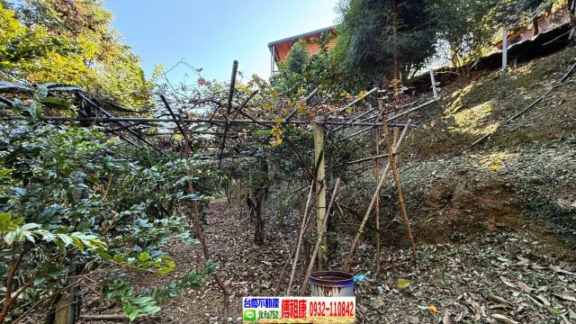新竹橫山休閒地-12