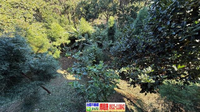 新竹橫山休閒地-14