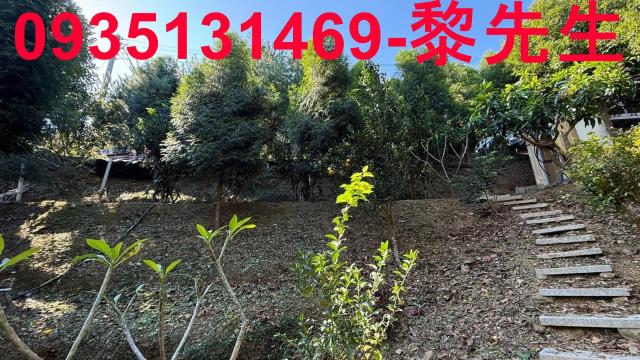 新竹橫山林地-3