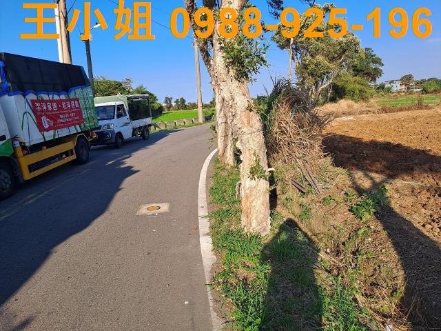 桃園觀音農地-1