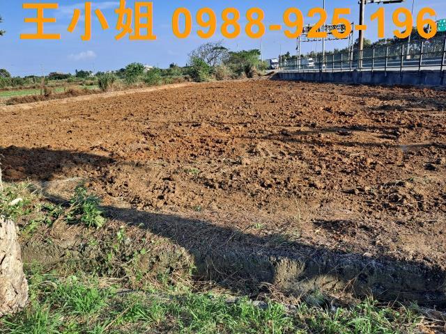 桃園觀音農地-3