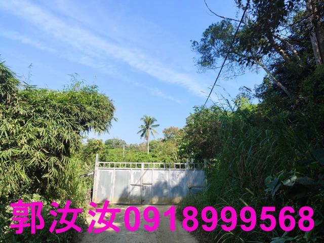 台南白河農地-11