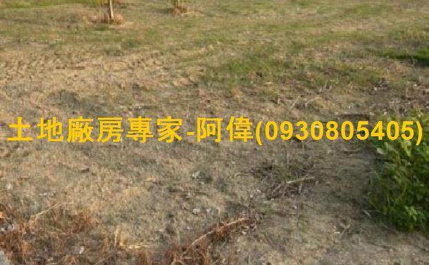 大寮農地-1