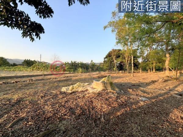 台南農地-1