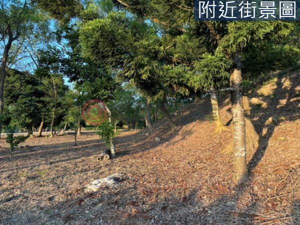 台南農地-2