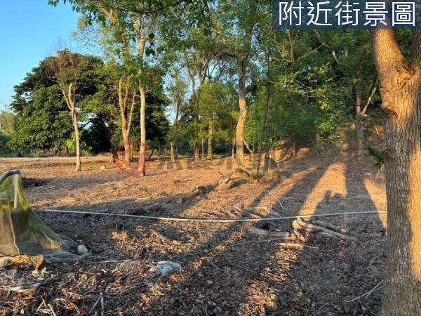台南農地-8