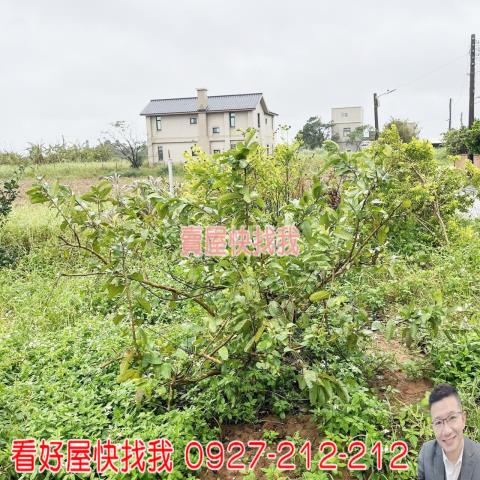 桃園新屋農地-8