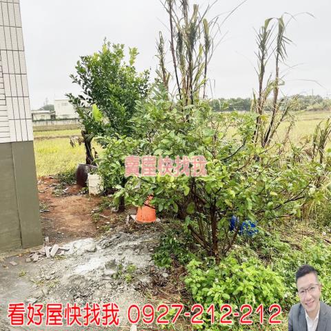 桃園新屋農地-3