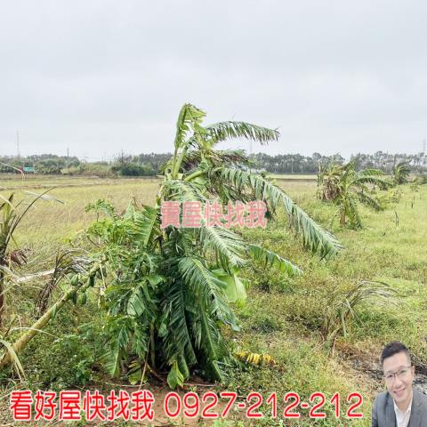 桃園新屋農地-7